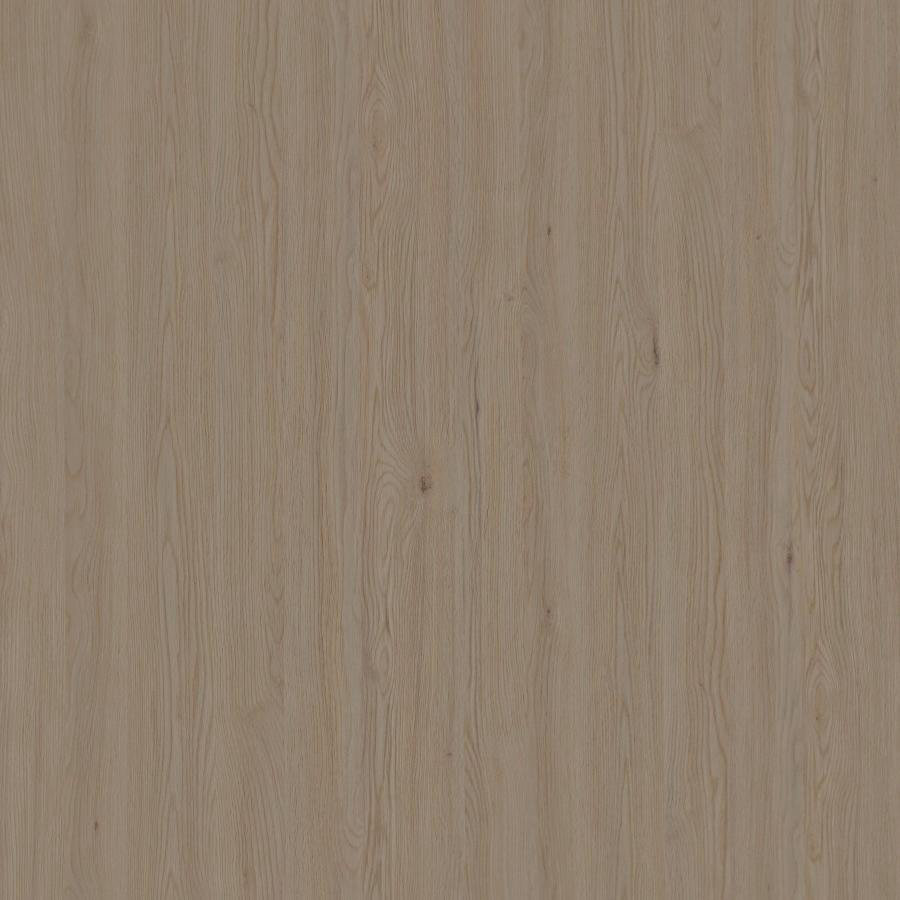 TB索尔万橡木-2