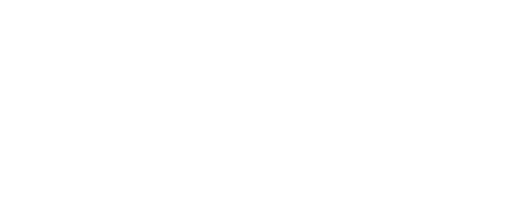 楠凤凰精竹板官网